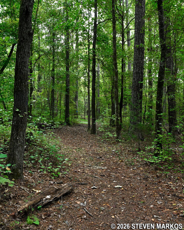 Typical terrain on the Cherokee Path Trail at Ninety Six National Historic Site