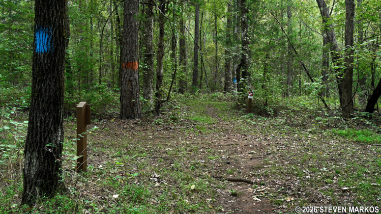 Intersection of the Cherokee Path Trail and one of the Horse trails at Ninety Six National Historic Site