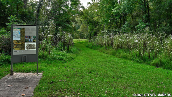 Start of the Cherokee Path Trail at the intersection with the Historical Trail, Ninety Six National Historic Site