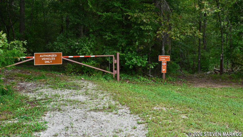 Fisherman's Trail enters the forest on the western side of Star Fort Pond, Ninety Six National Historic Site