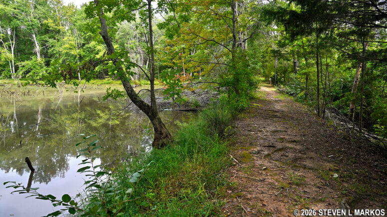 Small pond on the northwestern side of the Fisherman's Trail at Ninety Six National Historic Site
