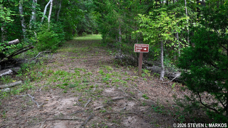 Fisherman's Trail turns towards the Star Fort Pond shoreline at its northwestern end, Ninety Six National Historic Site