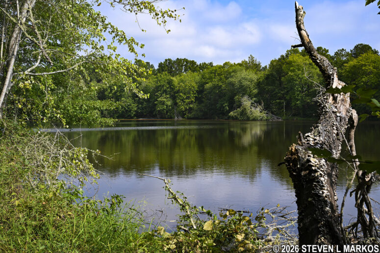 View of the Star Fort Pond from its northwestern shoreline, Ninety Six National Historic Site