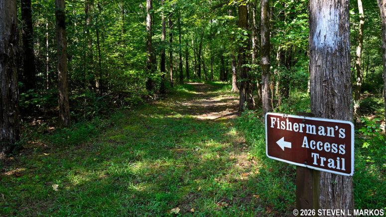 Sharp turn on the Fisherman's Trail lead to the northeastern shoreline of the Star Fort Pond, Ninety Six National Historic Site