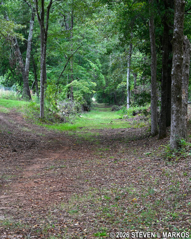 Segment of the original Island Ford Road runs through Ninety Six National Historic Site